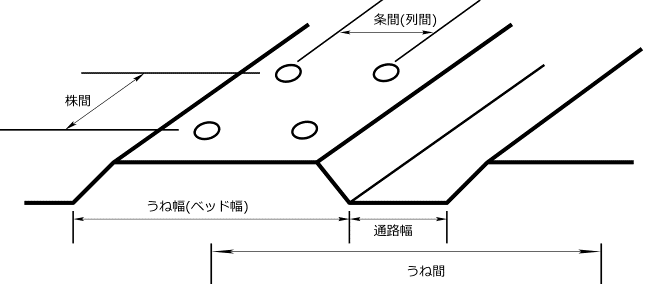 うね立ての画像2